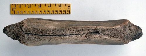 © Thijs de Boer © Thijs de Boer